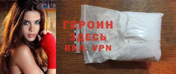 индика Дмитров