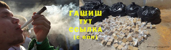 индика Дмитров