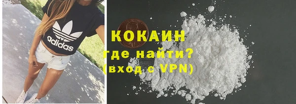 индика Дмитров
