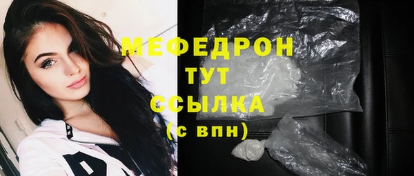 индика Дмитров