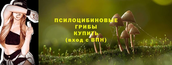 индика Дмитров