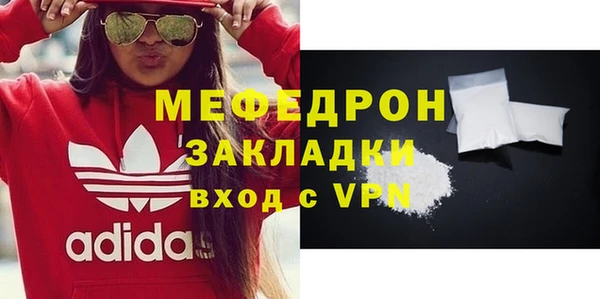 индика Дмитров