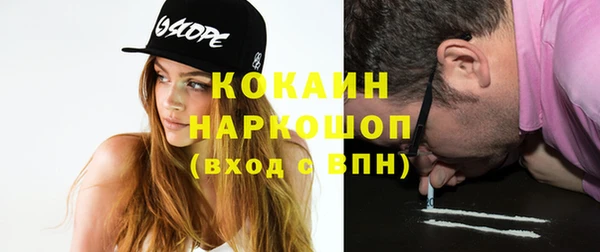 индика Дмитров