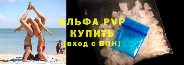 индика Дмитров