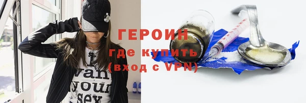 индика Дмитров