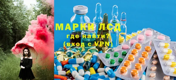 индика Дмитров
