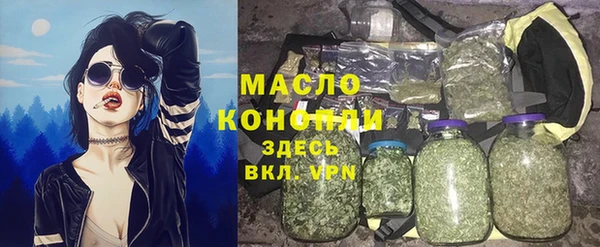 индика Дмитров