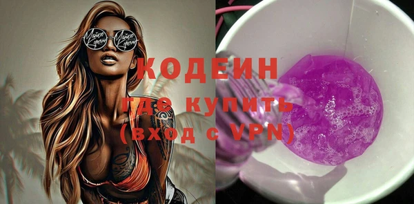 индика Дмитров