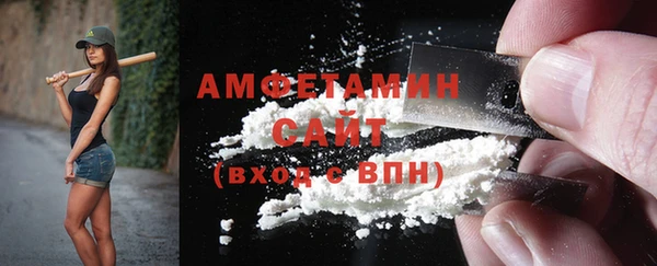 индика Дмитров