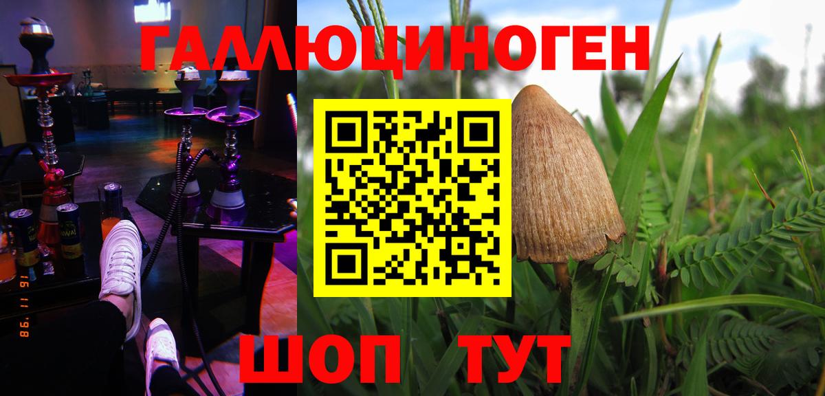 Псилоцибиновые грибы Psilocybine cubensis  Вход с VPN  Красногорск 