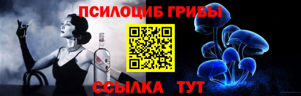 Галлюциногенные грибы Psilocybe Красногорск